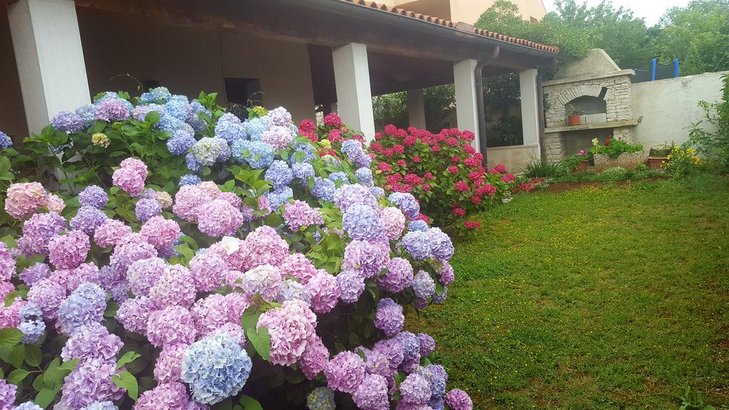 Bed & Breakfast באניולה מראה חיצוני תמונה
